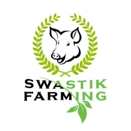 Biểu tượng Swastik Pig Farm